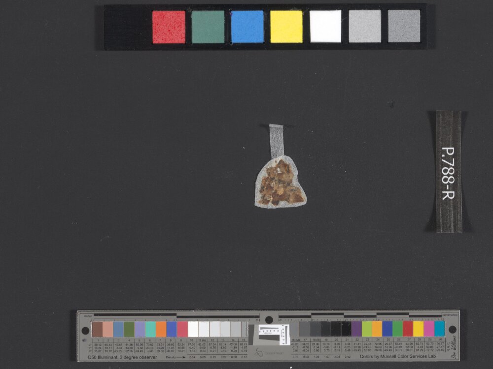 8Q1 Genesis showing Genesis 18:25 from Late 1st Century BC - Mid-1st Century AD found in Qumran, Cave 8, currently housed at Rockefeller Museum, Jerusalem